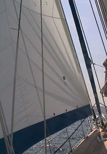dlsails-genoa-sails-3 dlsails-genoa-sails-3